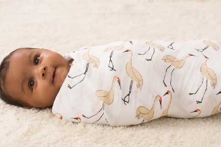 Swaddle, The Baby
